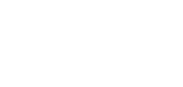 VT Model Logo